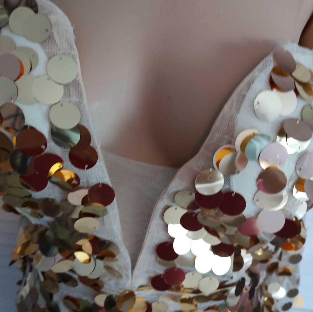 Sexy sheer metallic gown - Picture 12 of 16